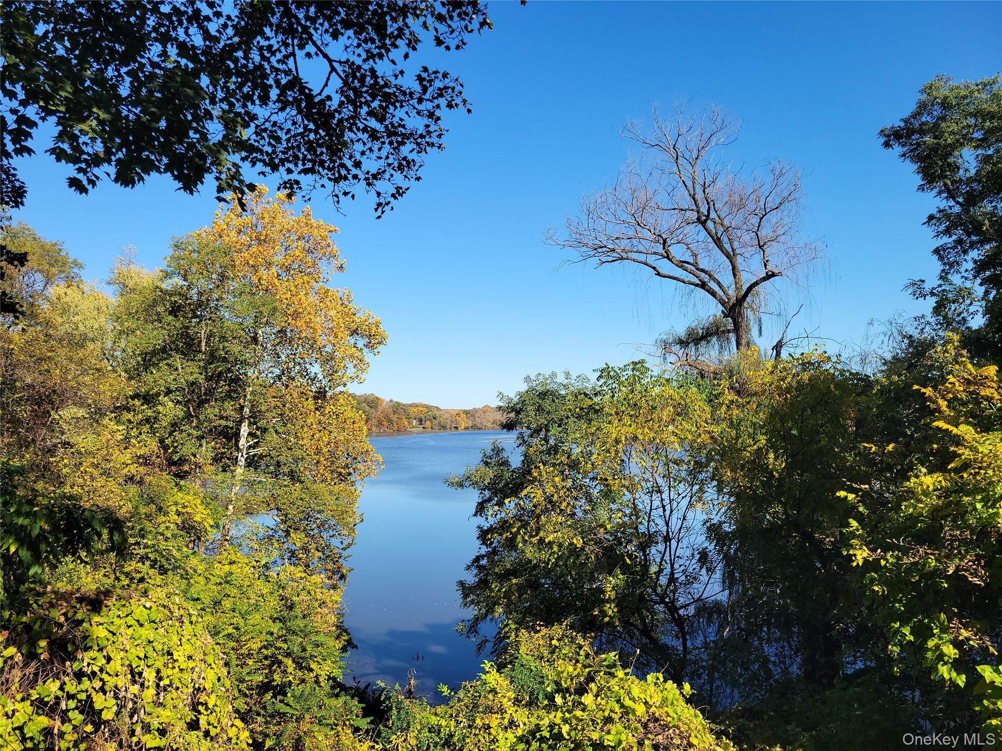 Water view