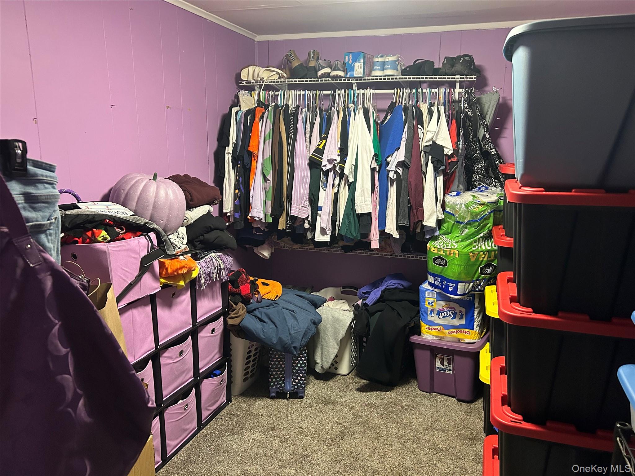 1st floor apt
