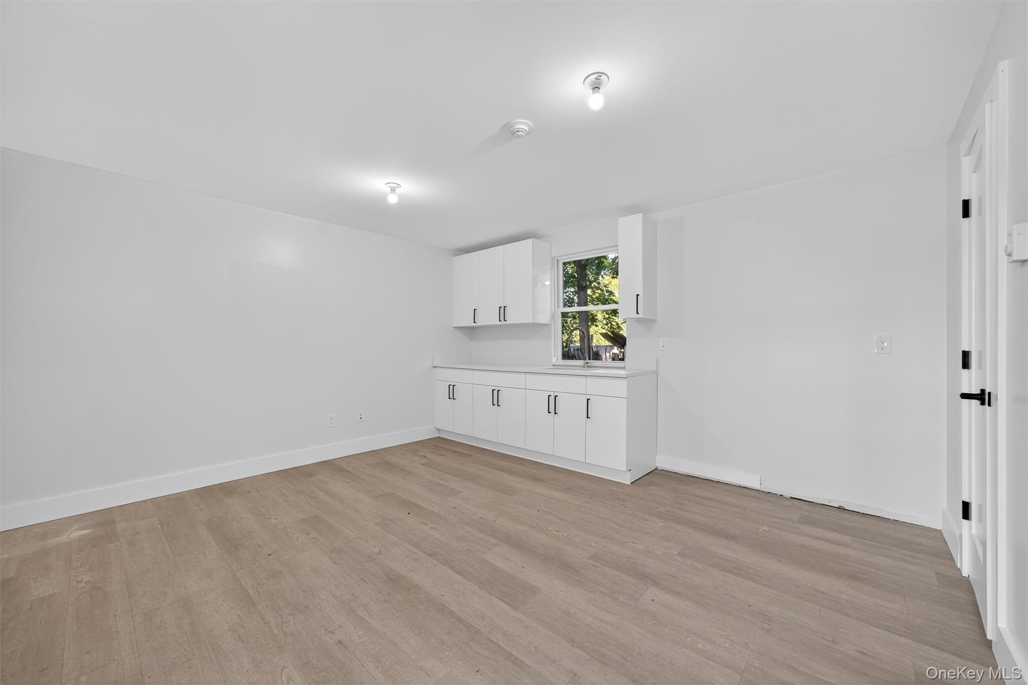 Unfurnished room with light wood-style floors