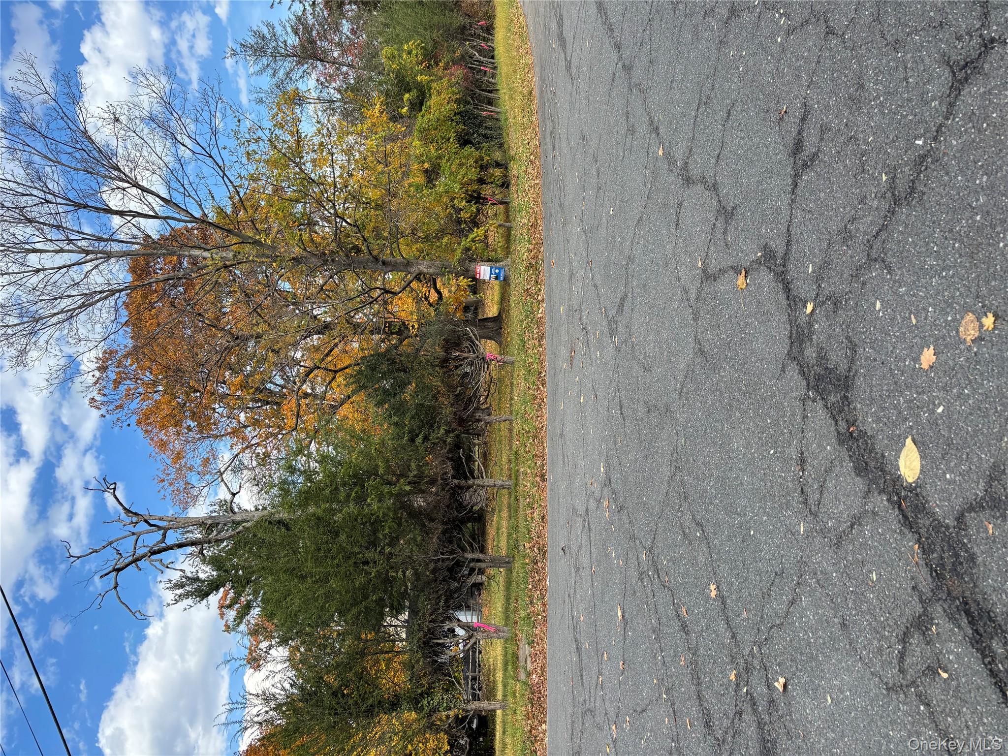 Corner view of vacant property.