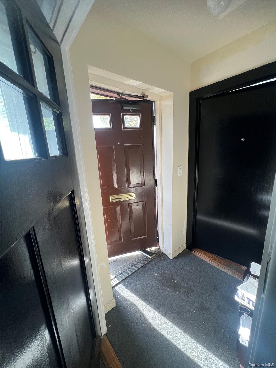 Entrance foyer with baseboards