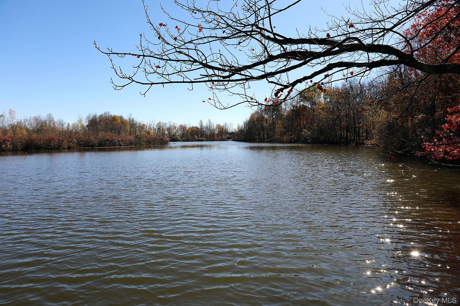 Water view of Blackberry Lake