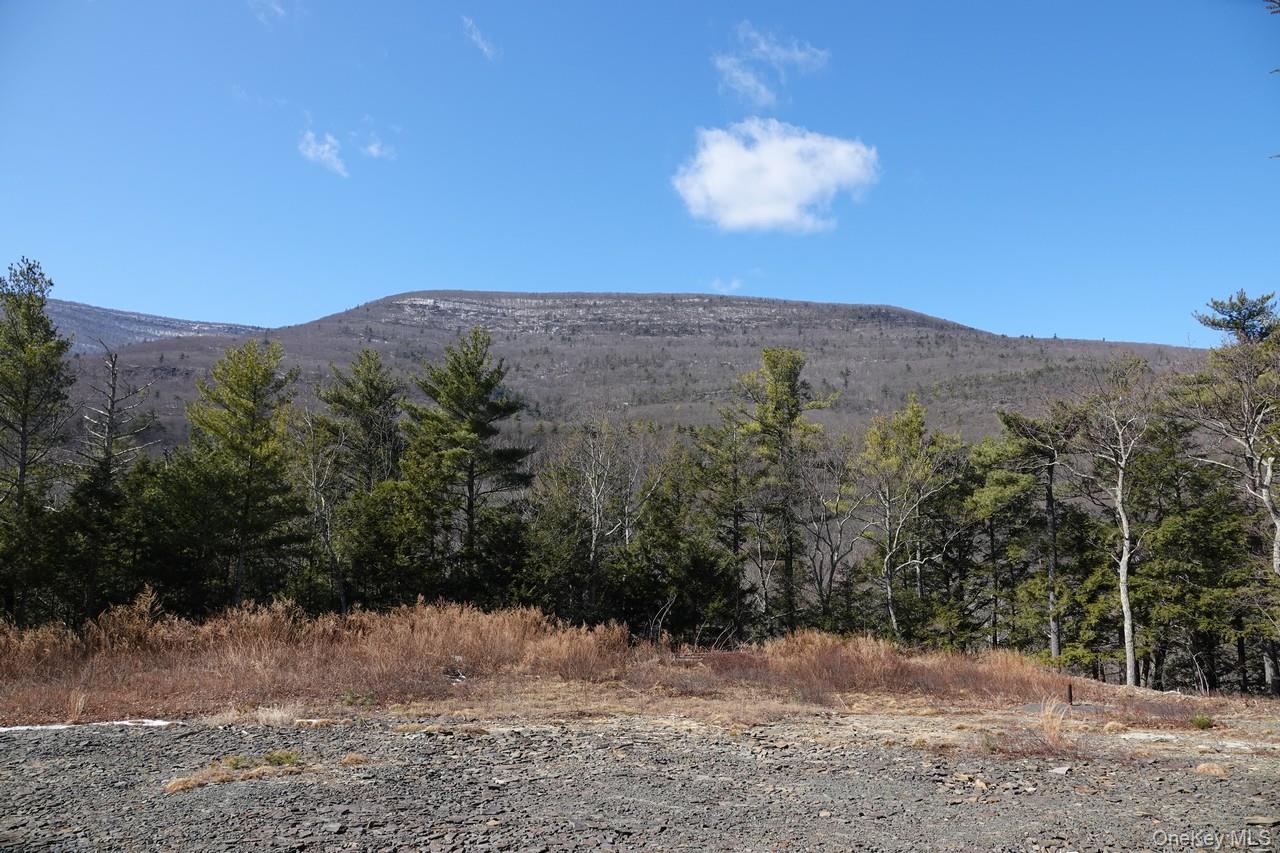 Property view of mountains featuring a wooded view