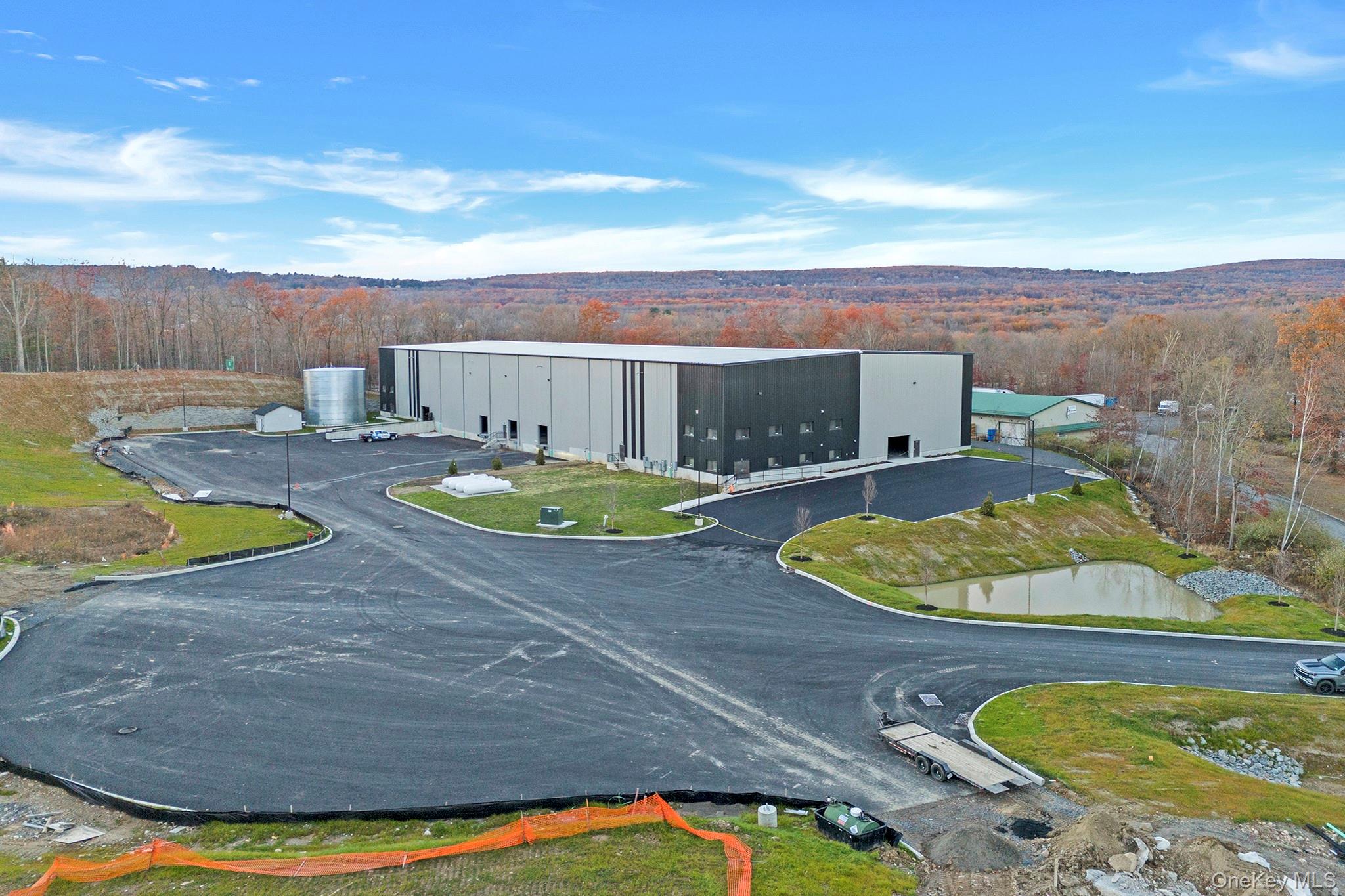 Bird's eye view of a forest
