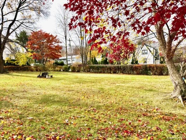 View of grassy yard