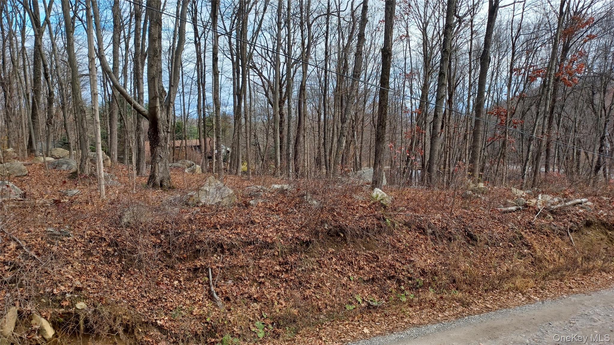 View of wooded area