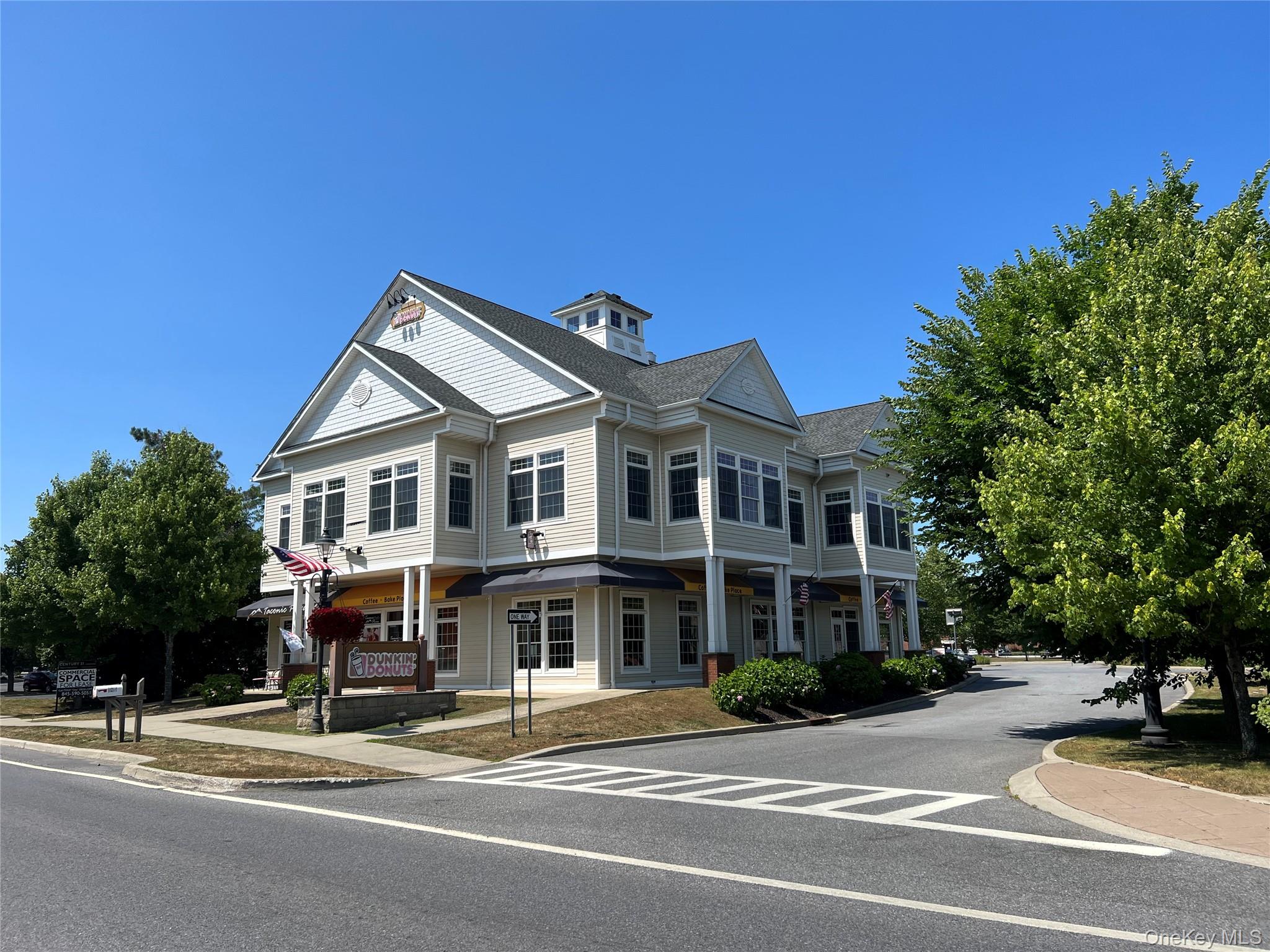View of neoclassical / greek revival house