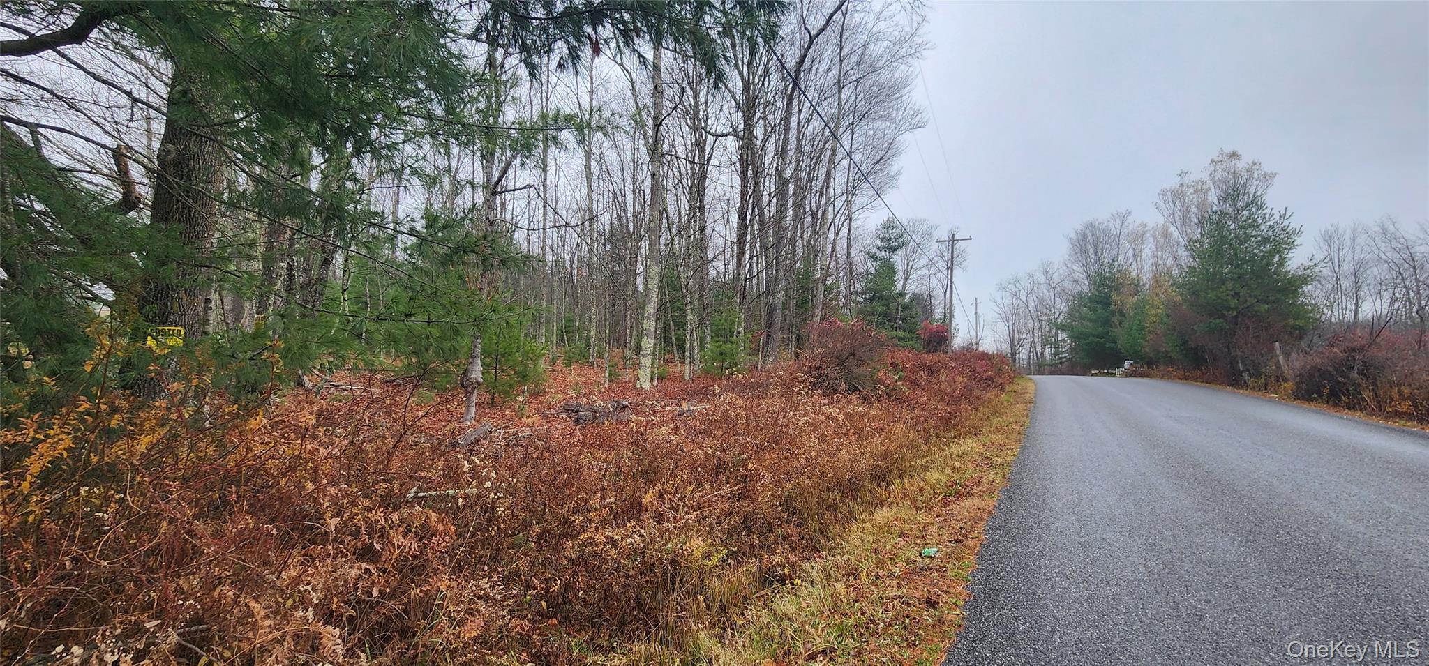 View of asphalt road with a view of trees