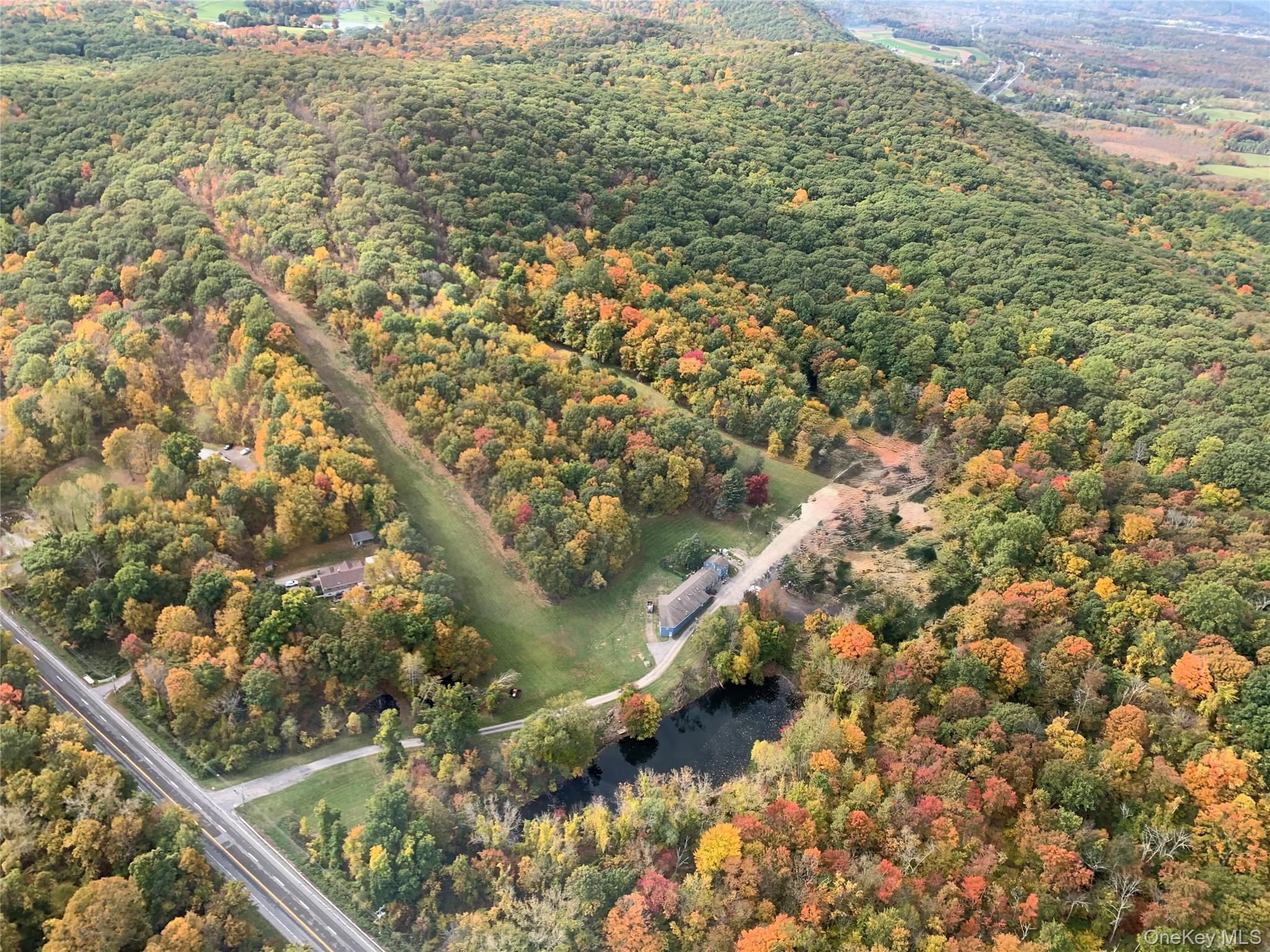 View of property location with a heavily wooded area