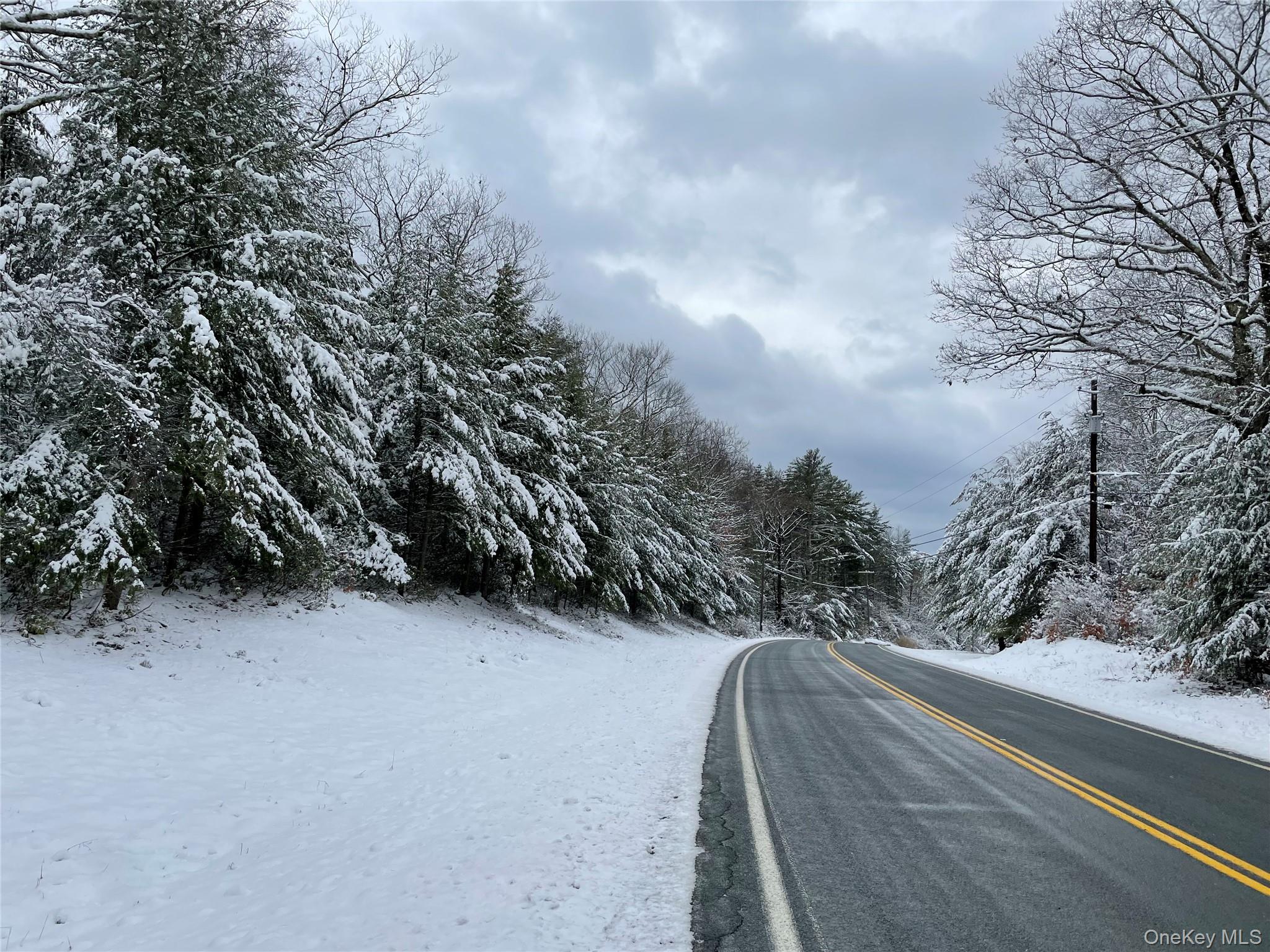 View of asphalt street featuring a wooded view