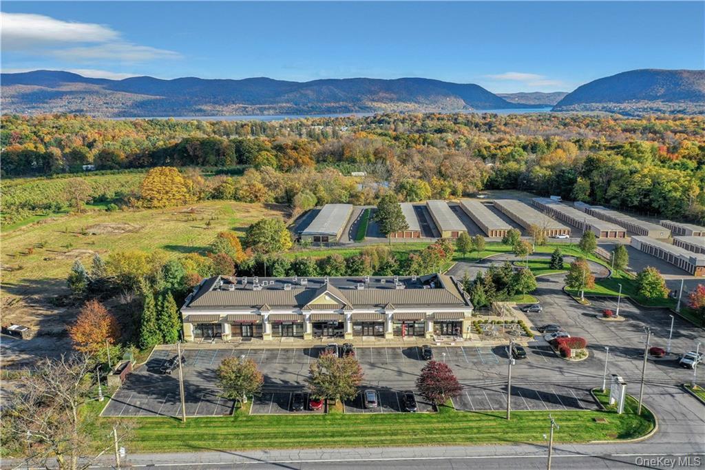 Bird's eye view of a mountainous background and a heavily wooded area