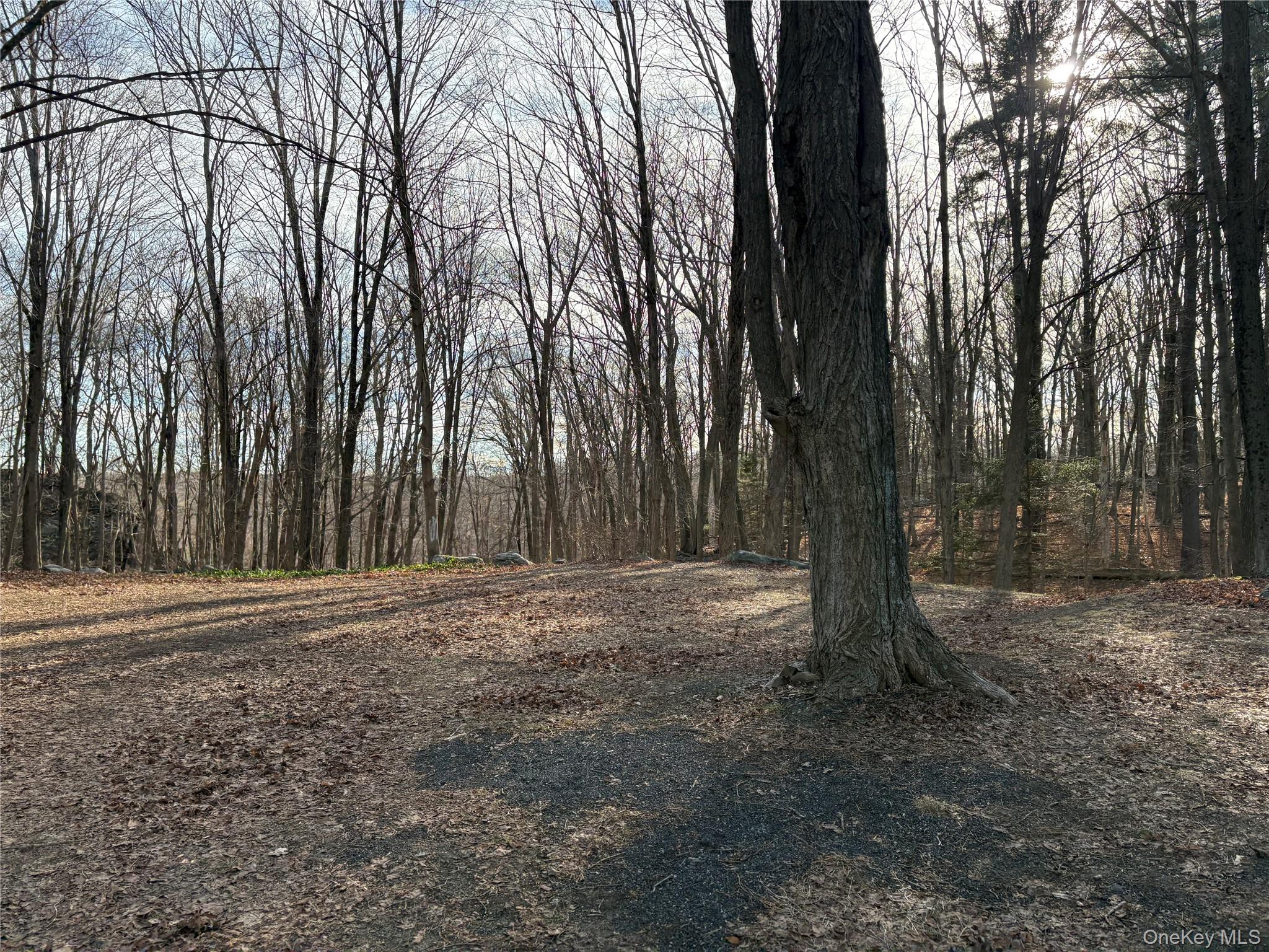 Entrance area when turning onto property from Salem Rd.