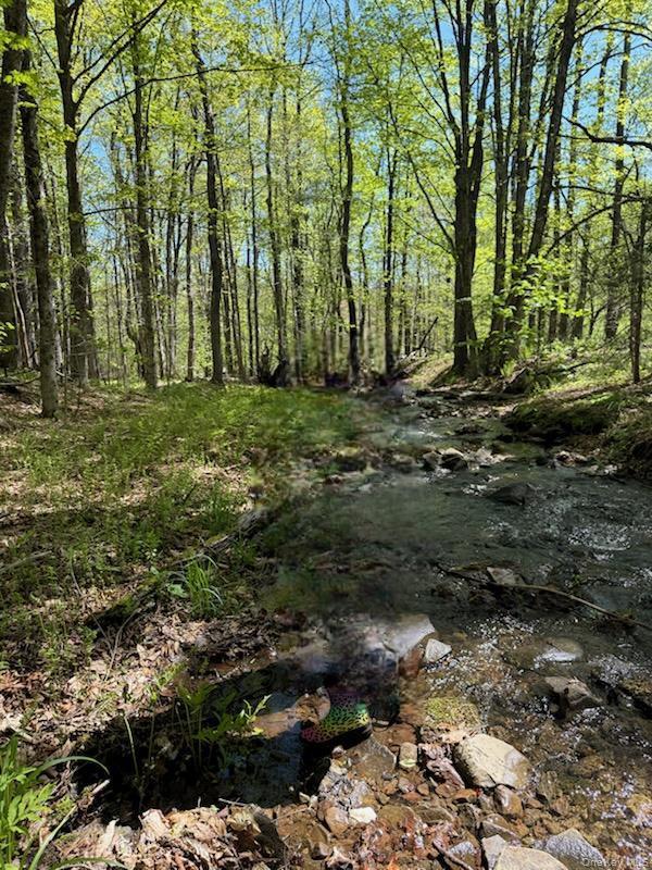 View of nature