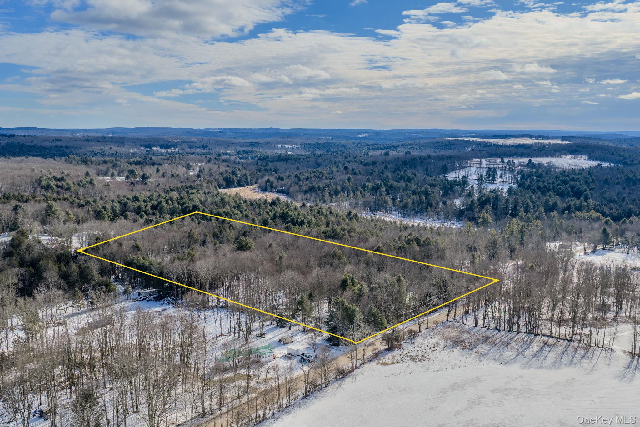 View of property location with a forest and property parcel outlined
