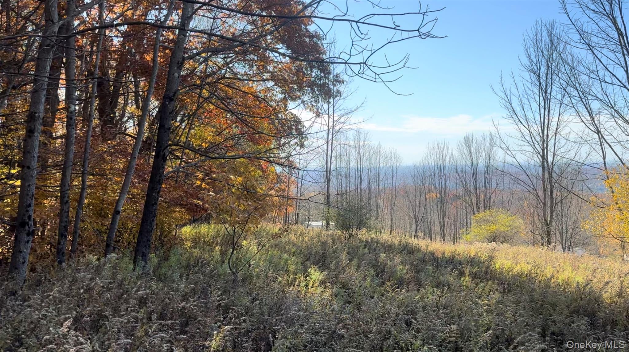 Property Views
