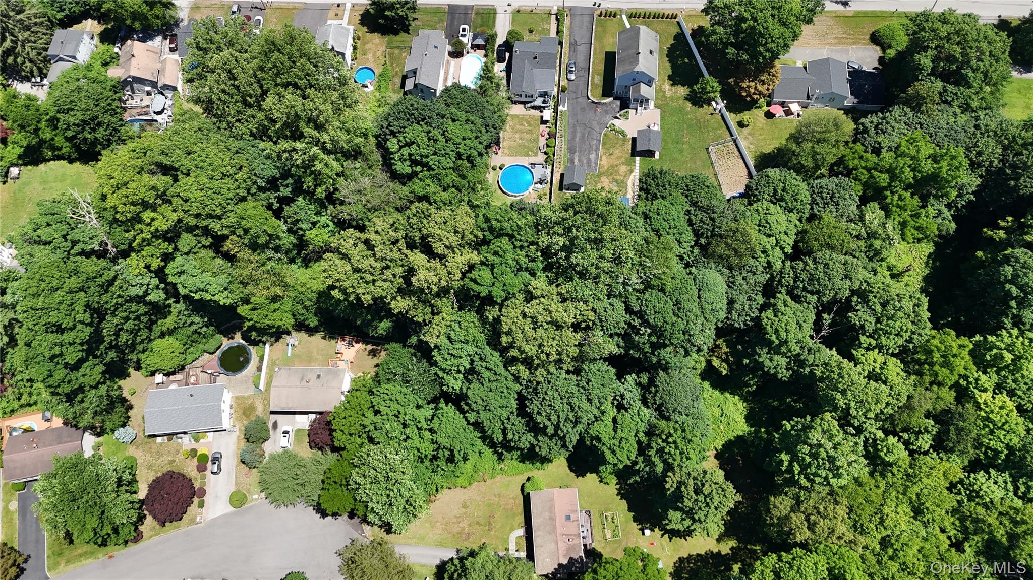 This is the land for sale - lot size is 101 by 250