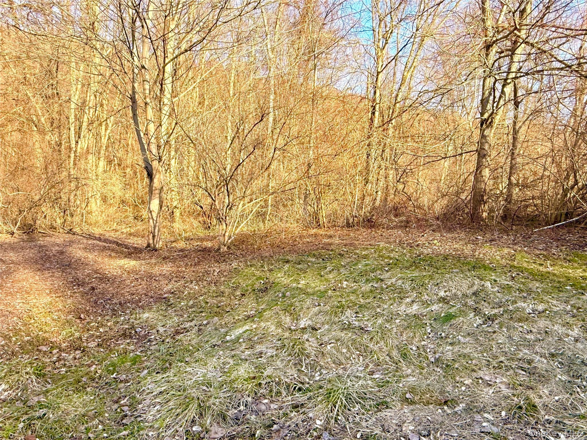 2.4 ACRE LOT - 315 FEET OF ROAD FRONTAGE ON ROUTE 22.