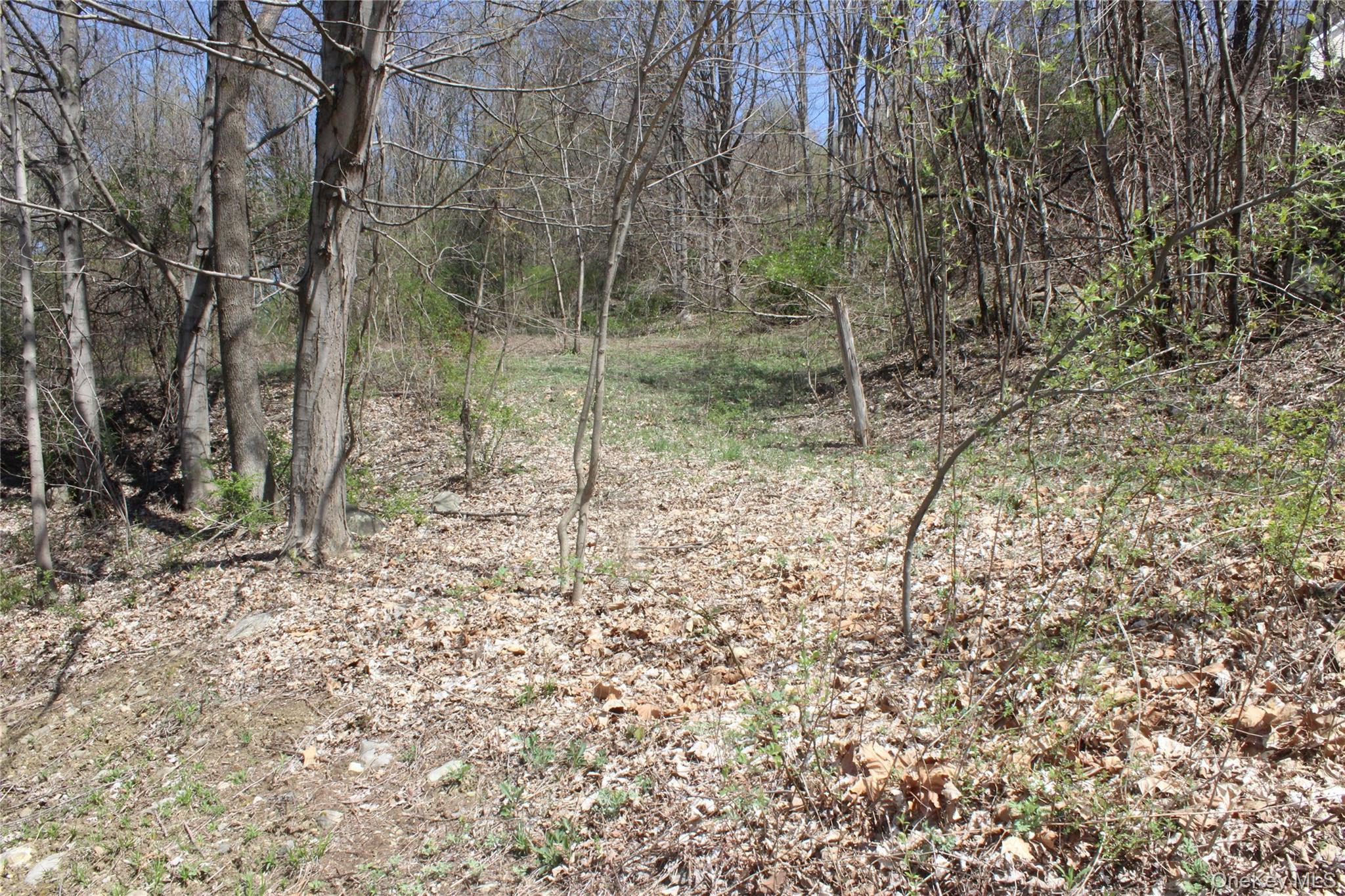 Wooded lot featuring mature trees and sloped terrain
