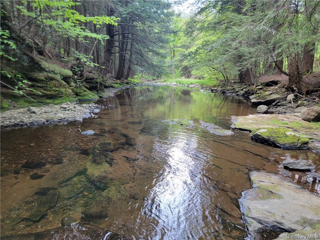 water on the far back of the land