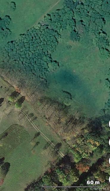 Aerial View of the lot
