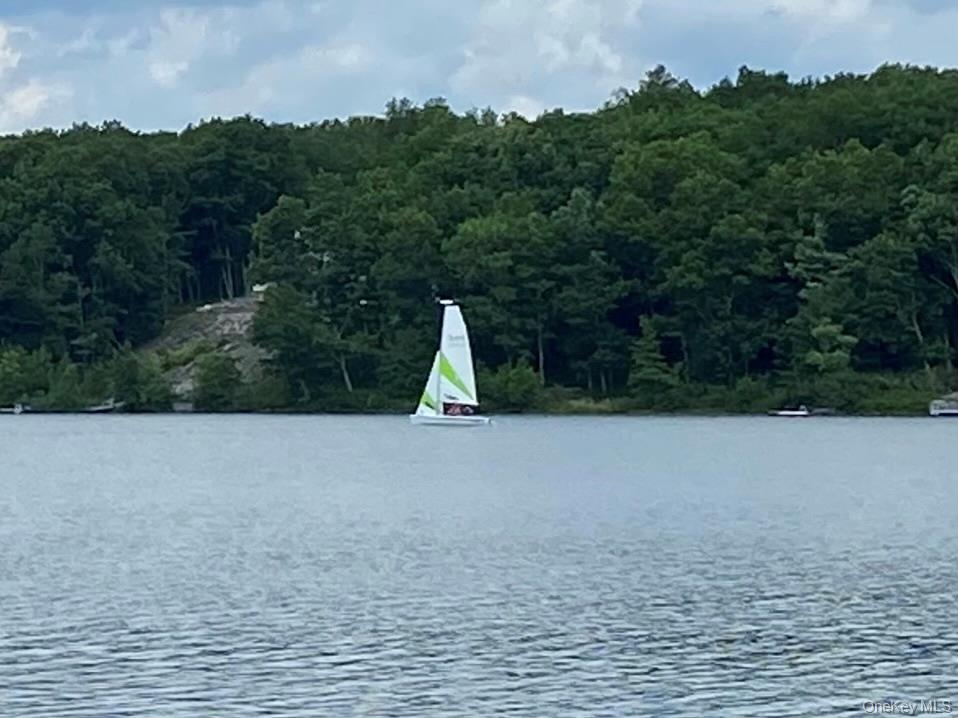 Water view with a heavily wooded area