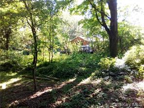 View of yard featuring a view of trees