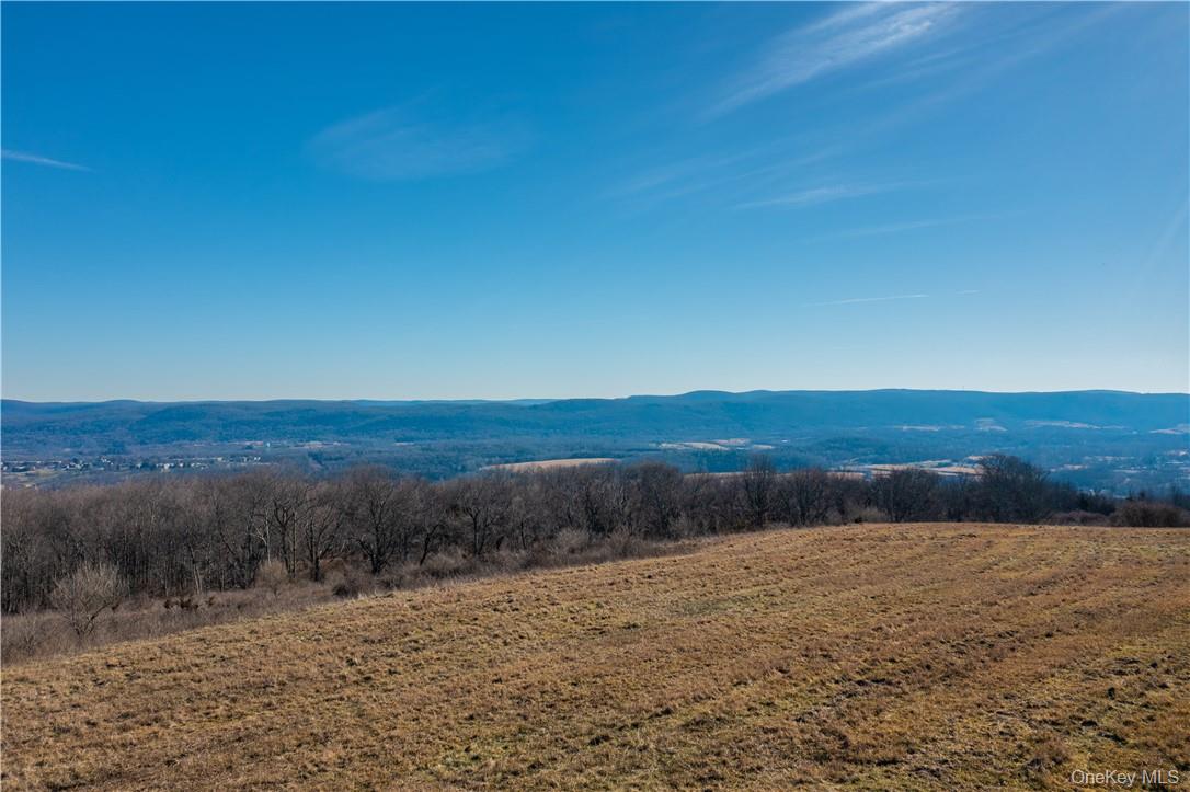 Nestled in the heart of the Town of Washington’s breathtaking countryside, this extraordinary 332+ acre property offers a rare opportunity to own an expansive and remarkably diverse landscape in the scenic Harlem Valley.