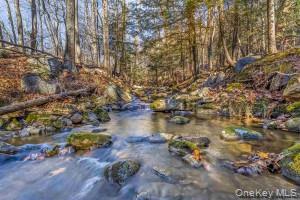 Year-round stream
