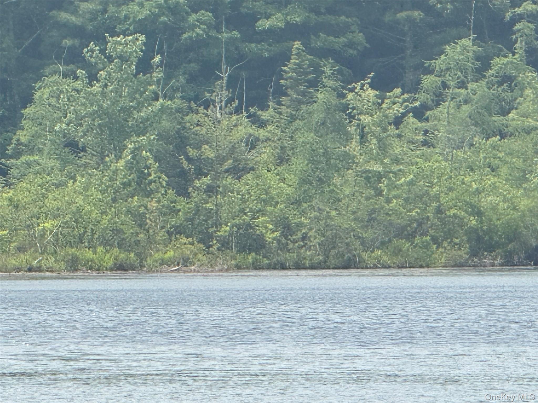 Members beach