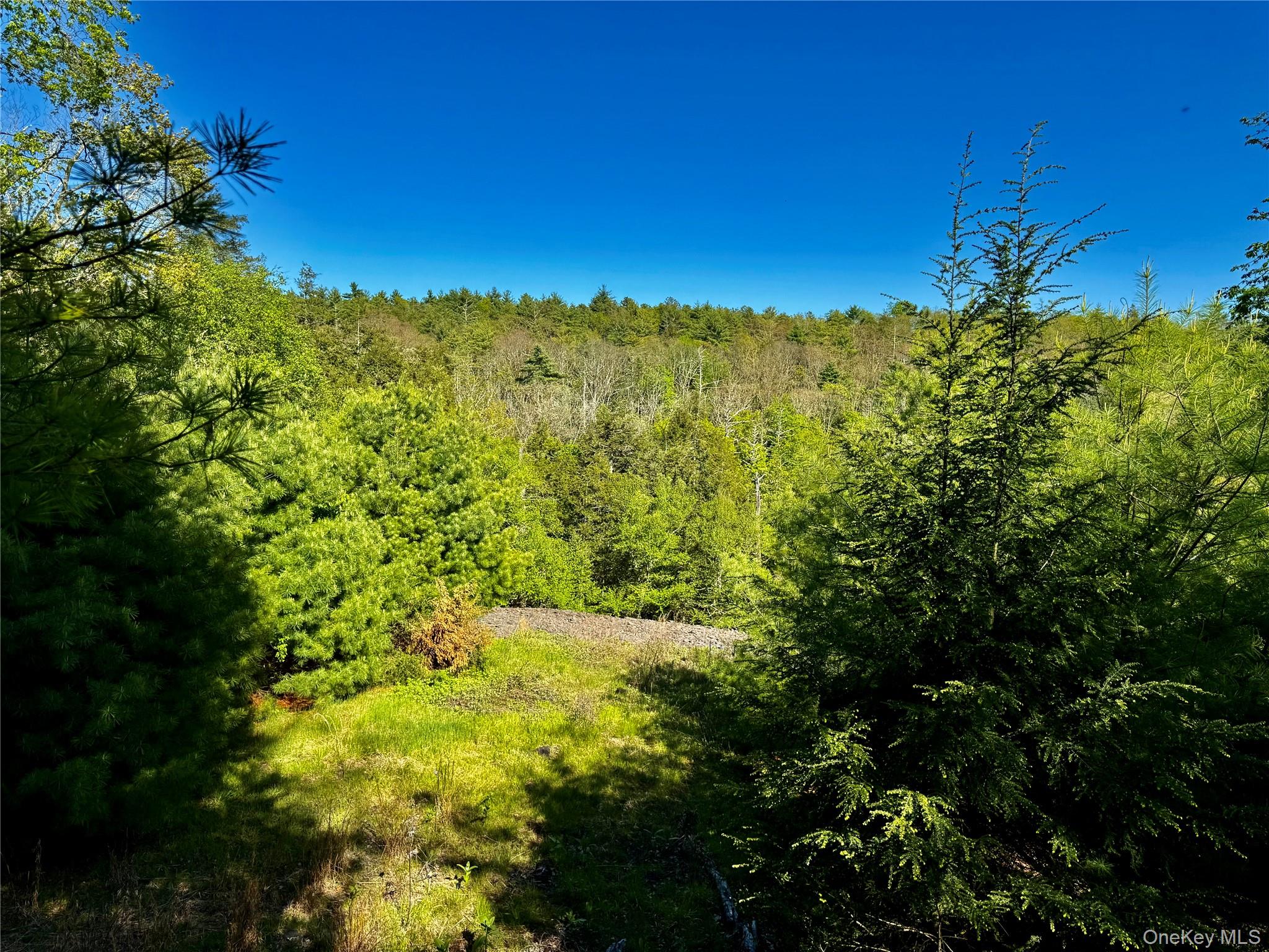 Potential House site with view