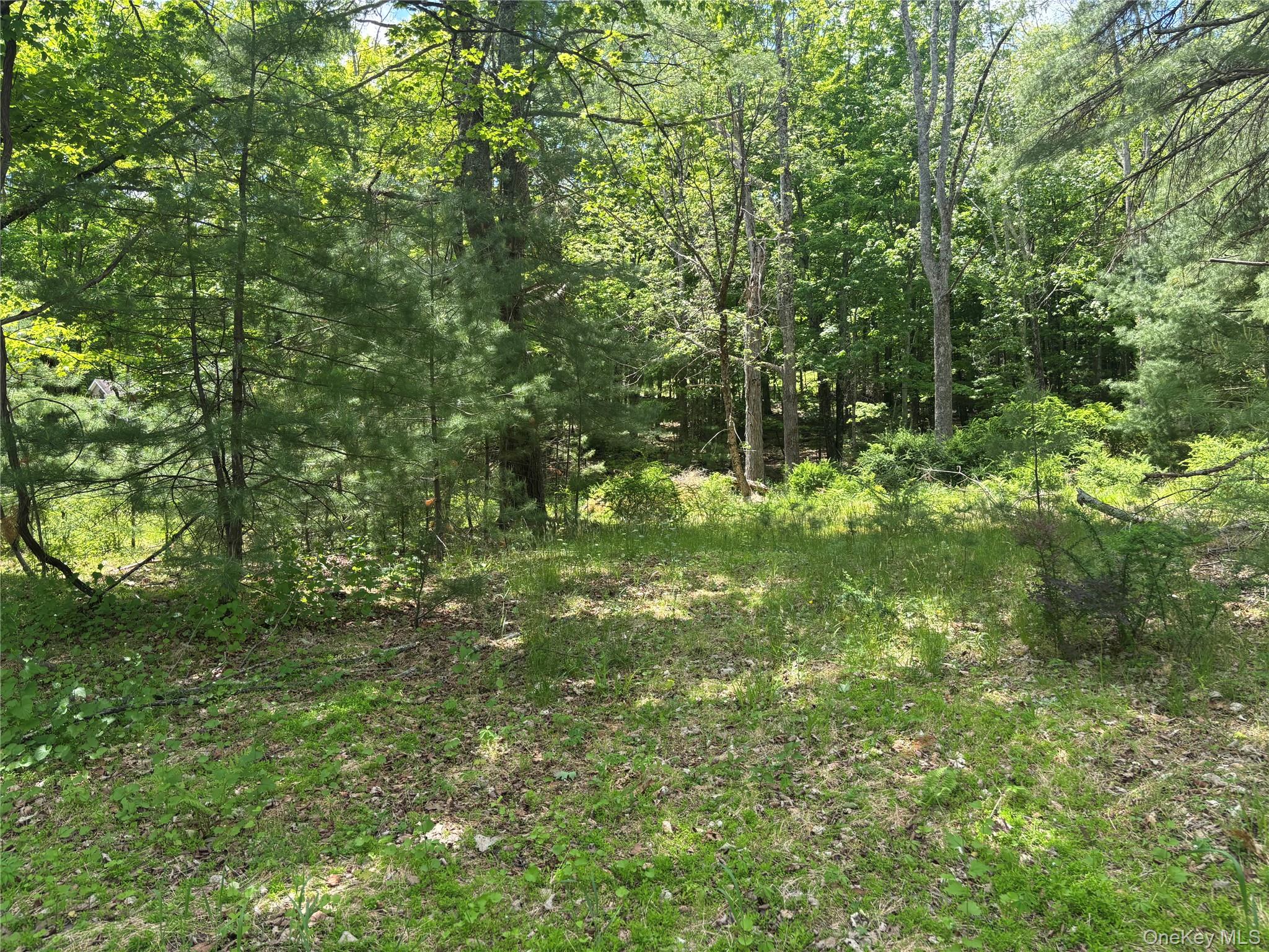 Almost 7 acres .