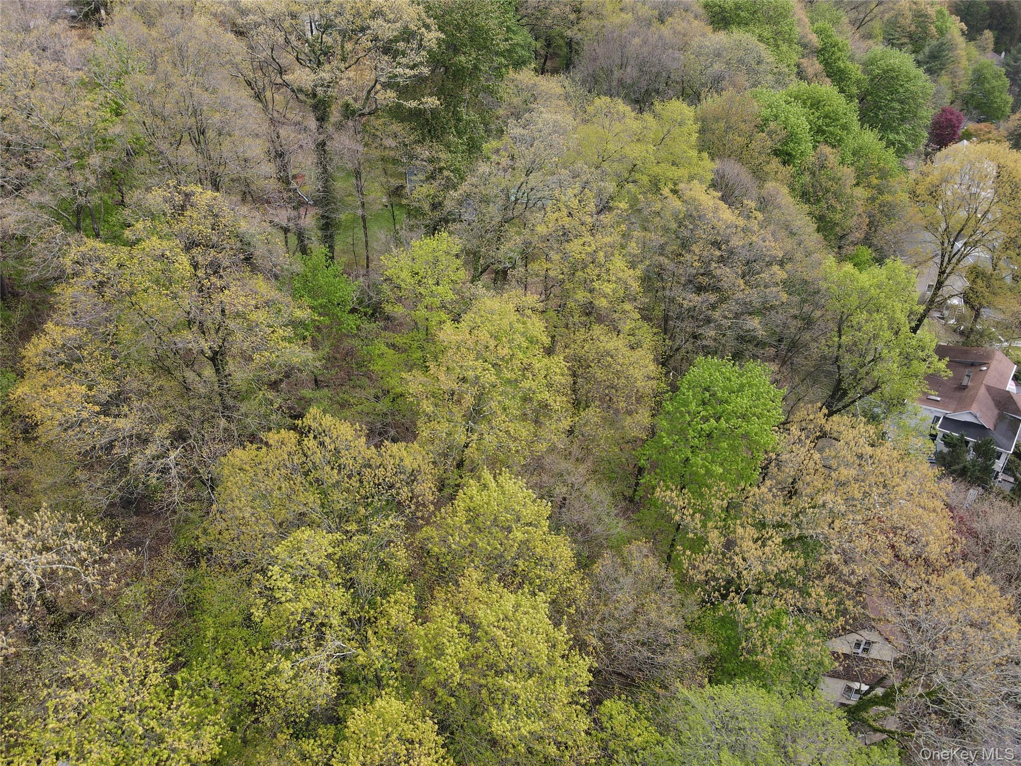 Vacant land assemblage Lots 91–94