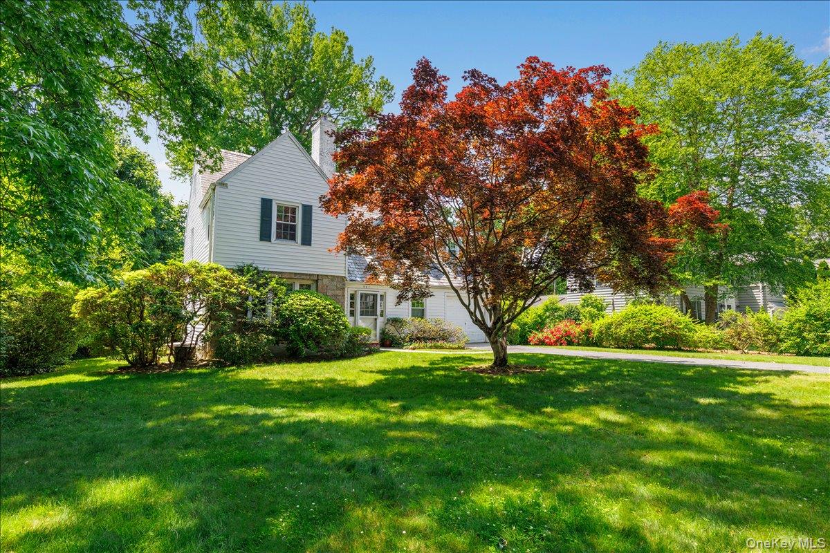 Beautiful tree in front of house.