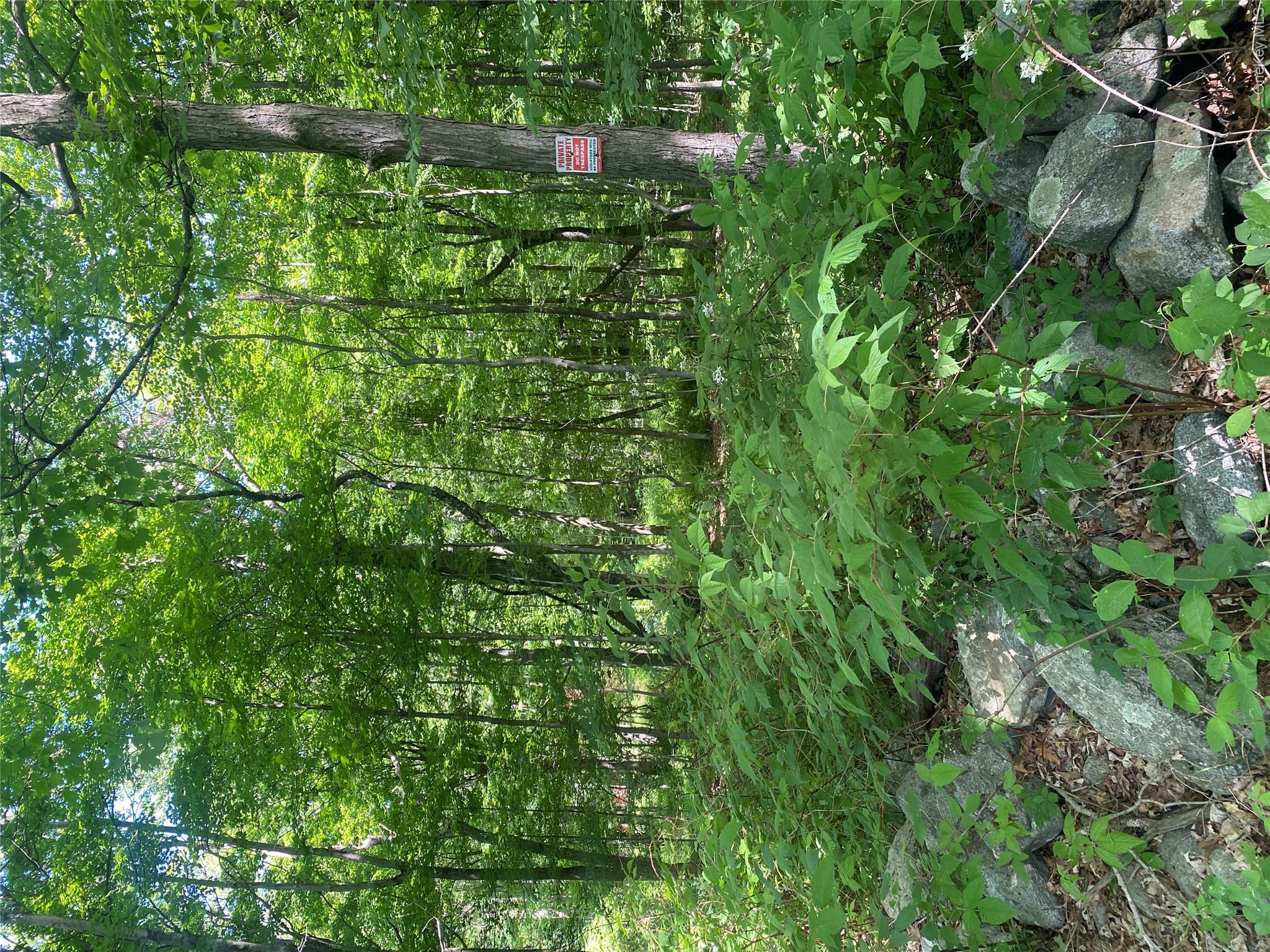 Lovely, level 5.91 acres of land
