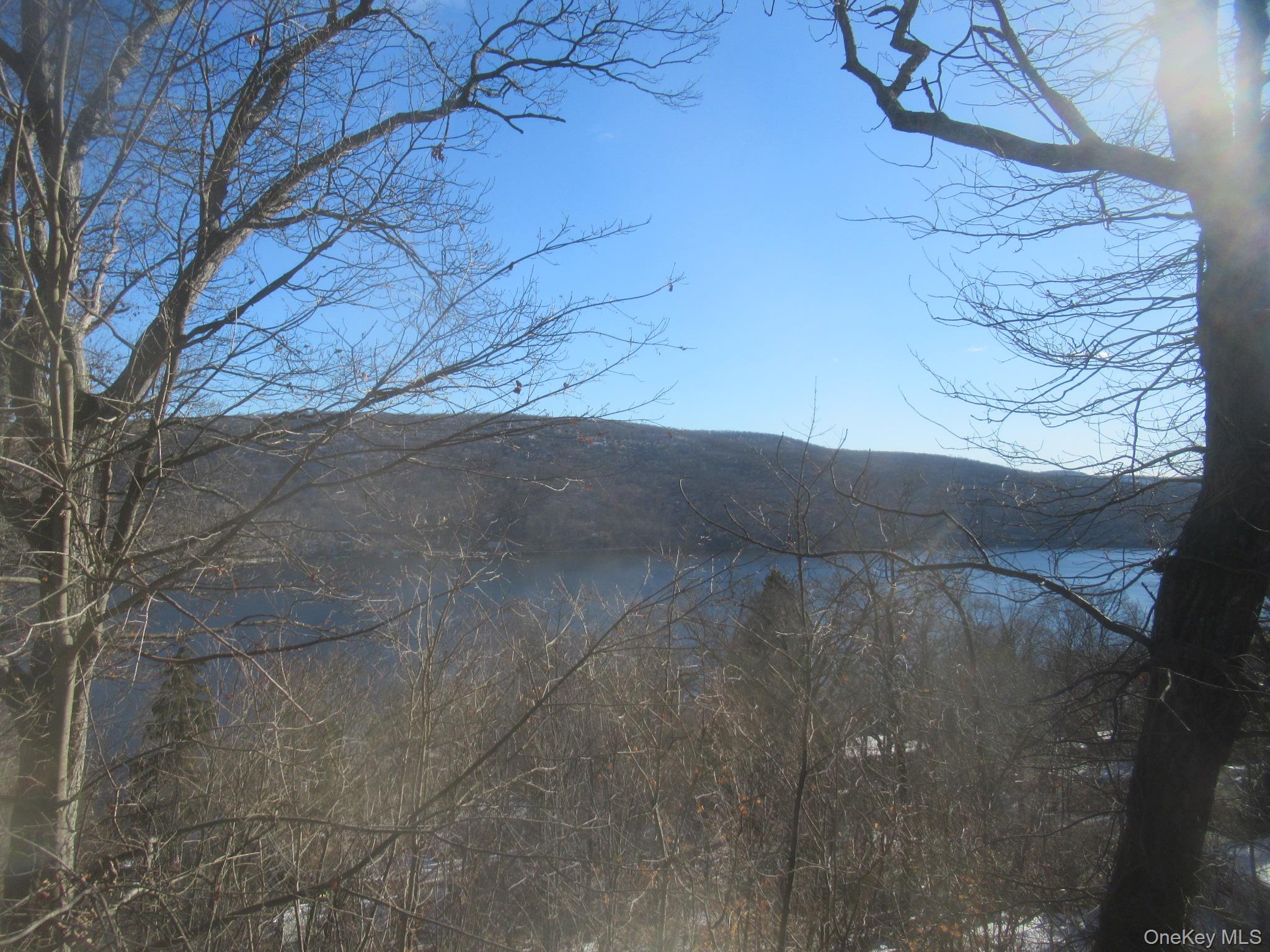 Water view with a forest