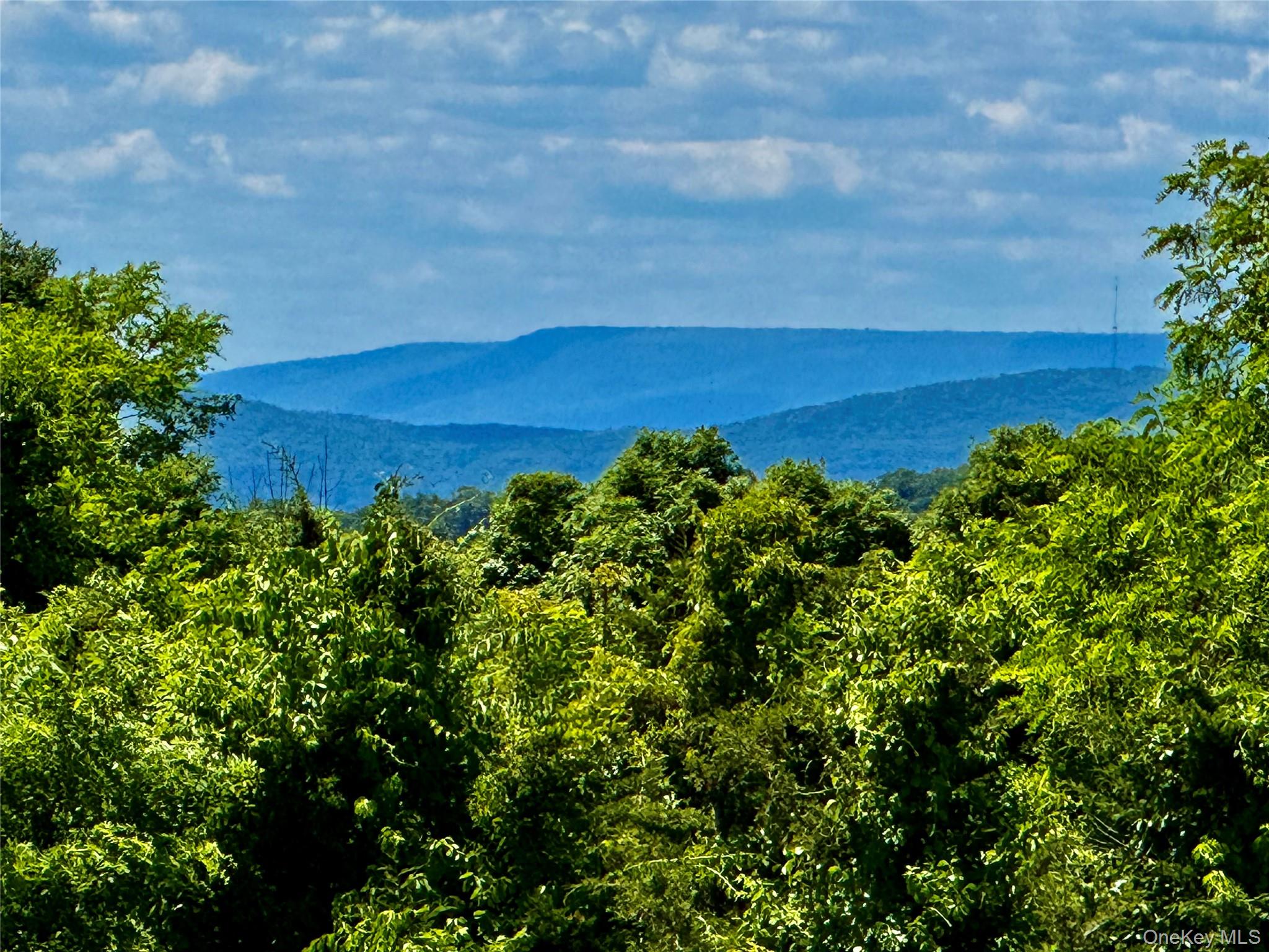 South West View