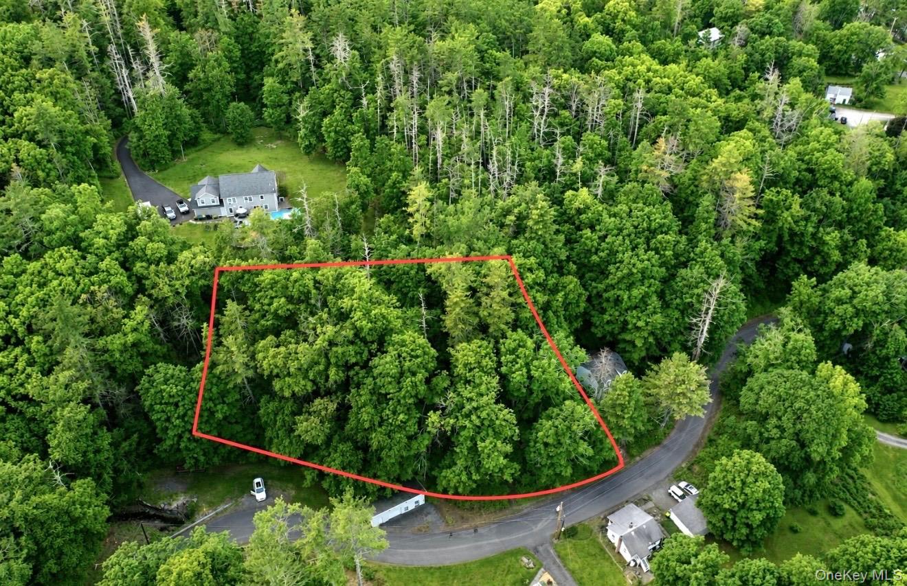 Wooded parcel with road frontage, bordered by mature trees