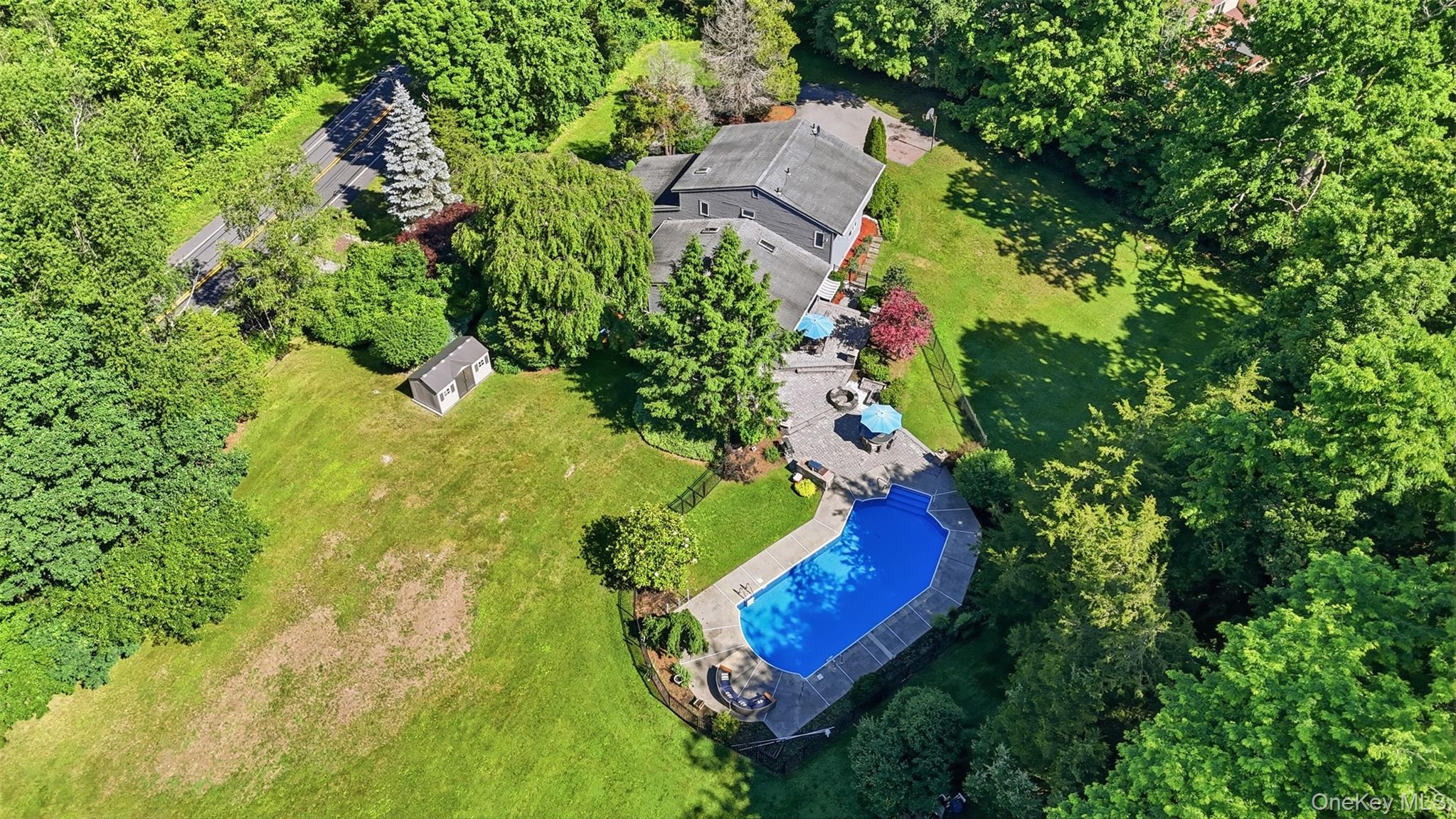 Expansive property featuring a large in-ground pool, extensive paved patio, substantial green space, mature trees, and a detached storage shed