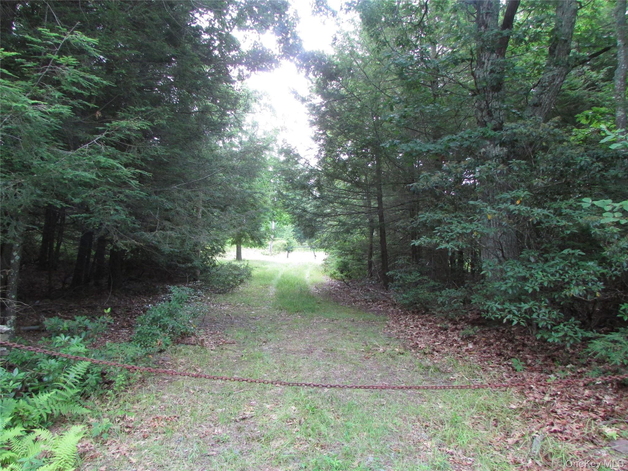 Entrance to driveway